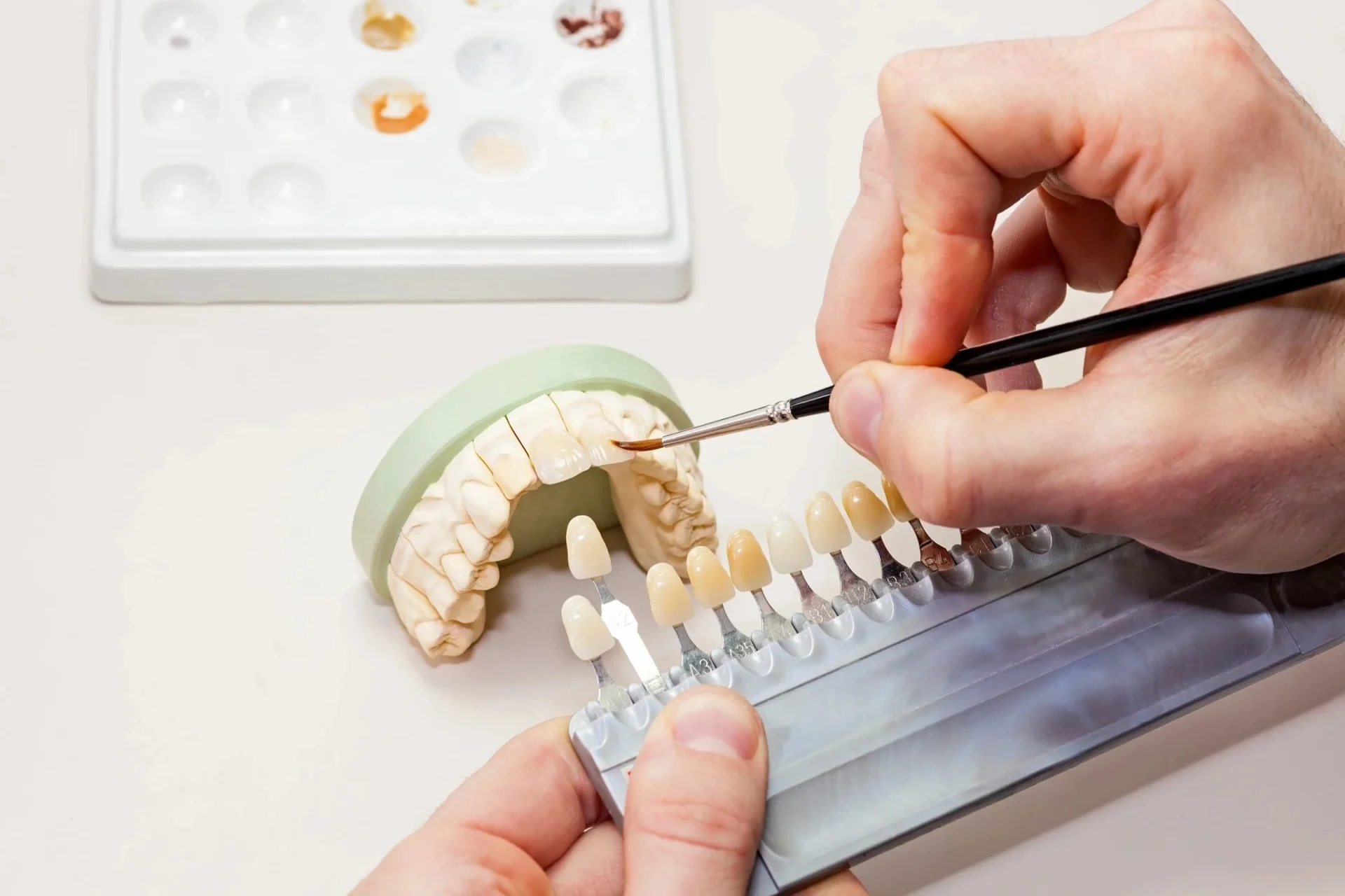 A person is painting teeth with a brush.